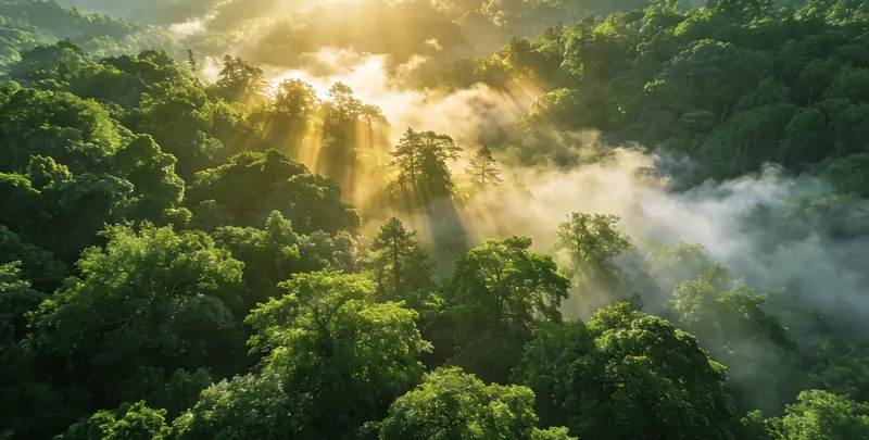 咸宁肺癌12基因ctDNA突变检测(血液）图片1