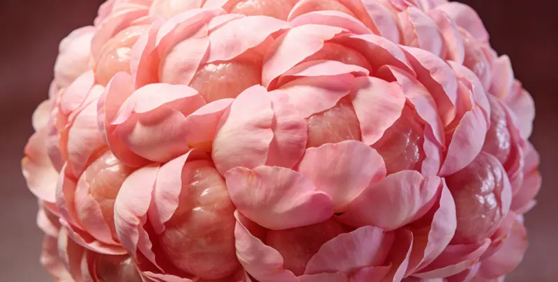 咸宁BRCA1/2乳腺癌卵巢癌基因检测图片1