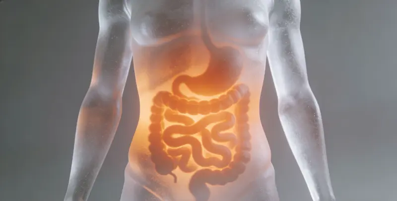 咸宁肠癌甲基化检测图片1